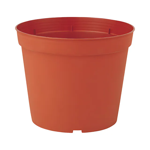 Round Pot 10cm