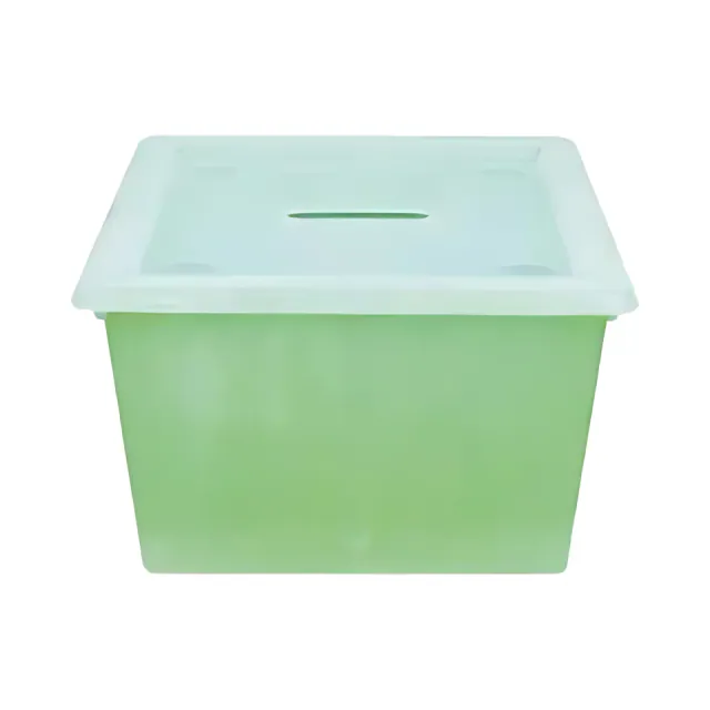 Rainbow transparente Aufbewahrungsbox mit Deckel und Rollen 29 L